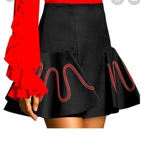 Alexis Theresse Embroidered Mini Skirt